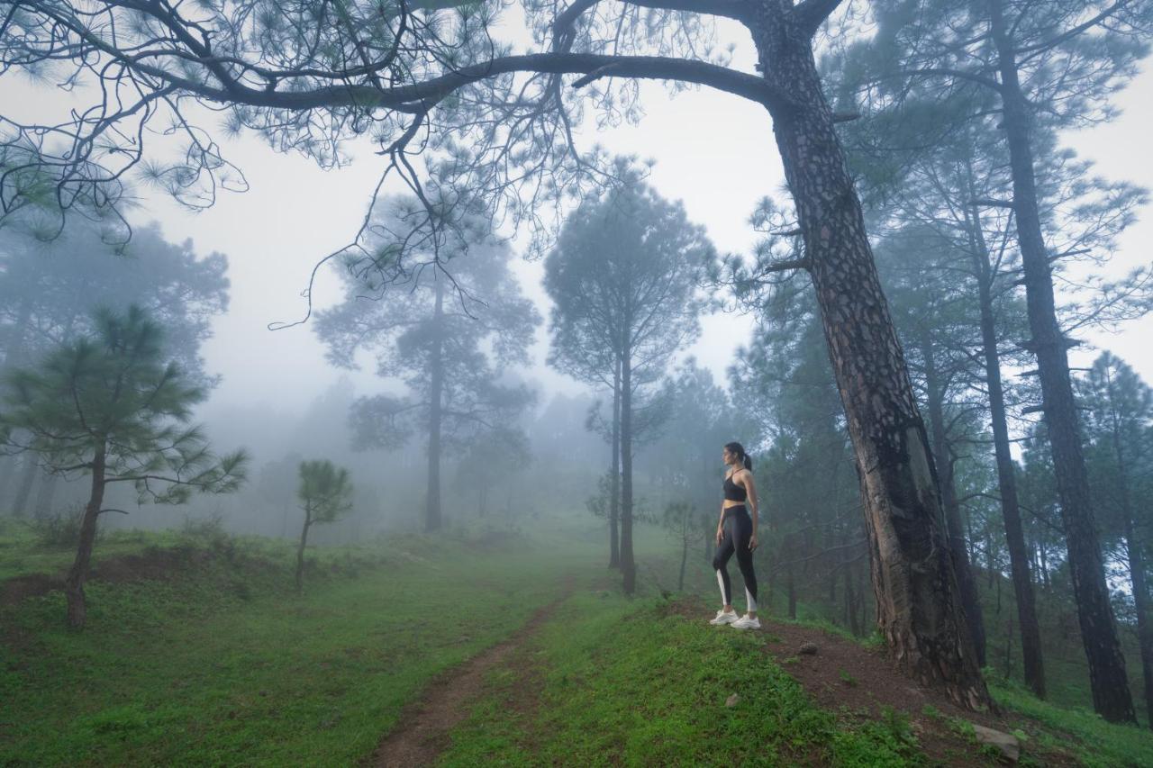 Cassia Resort, Kasauli Luaran gambar