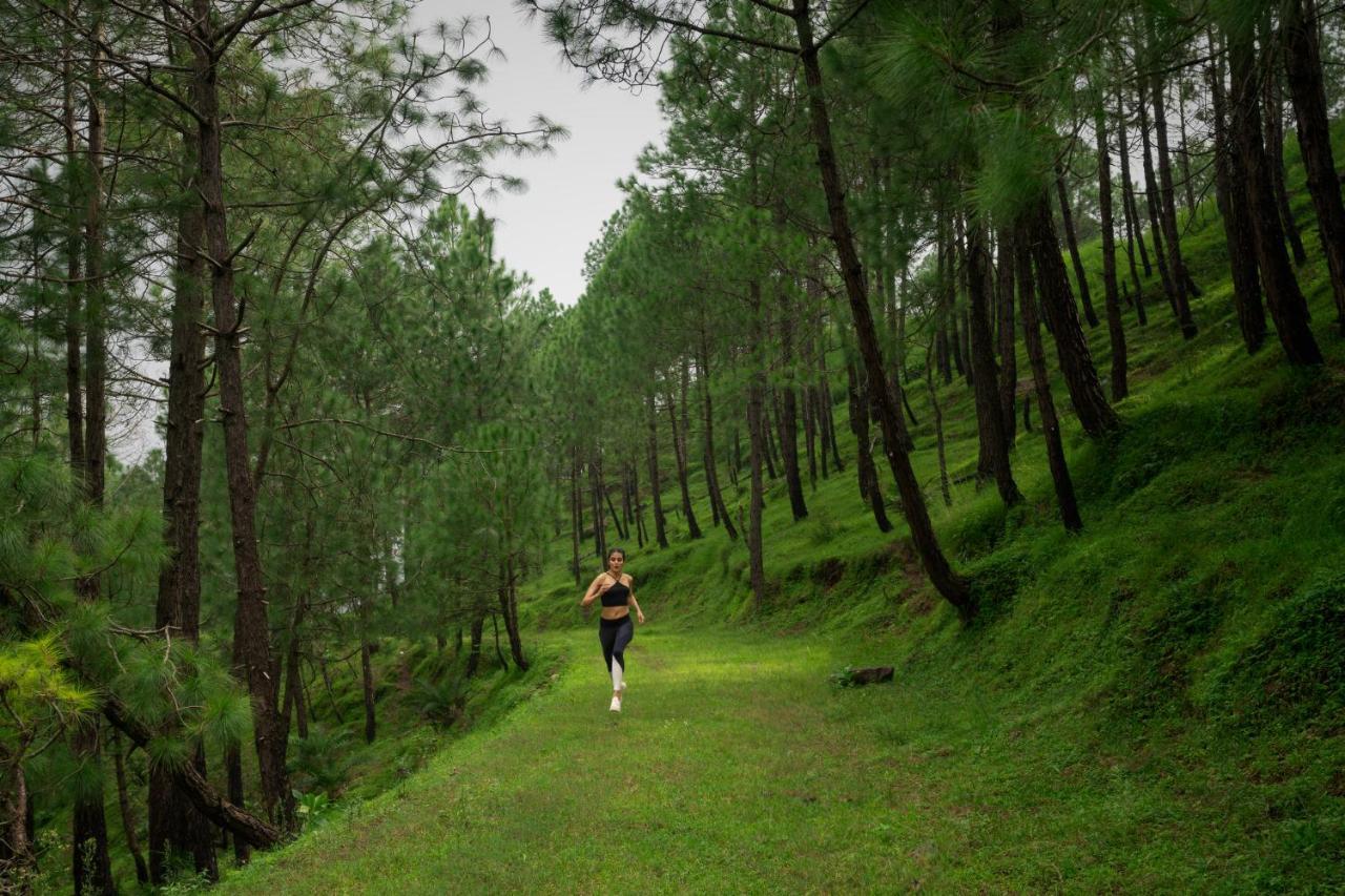 Cassia Resort, Kasauli Luaran gambar
